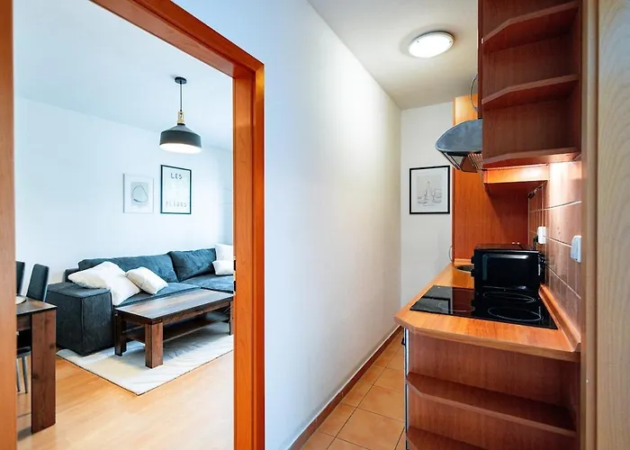 Adm Comfort - Free Parking Garage Lägenhet *